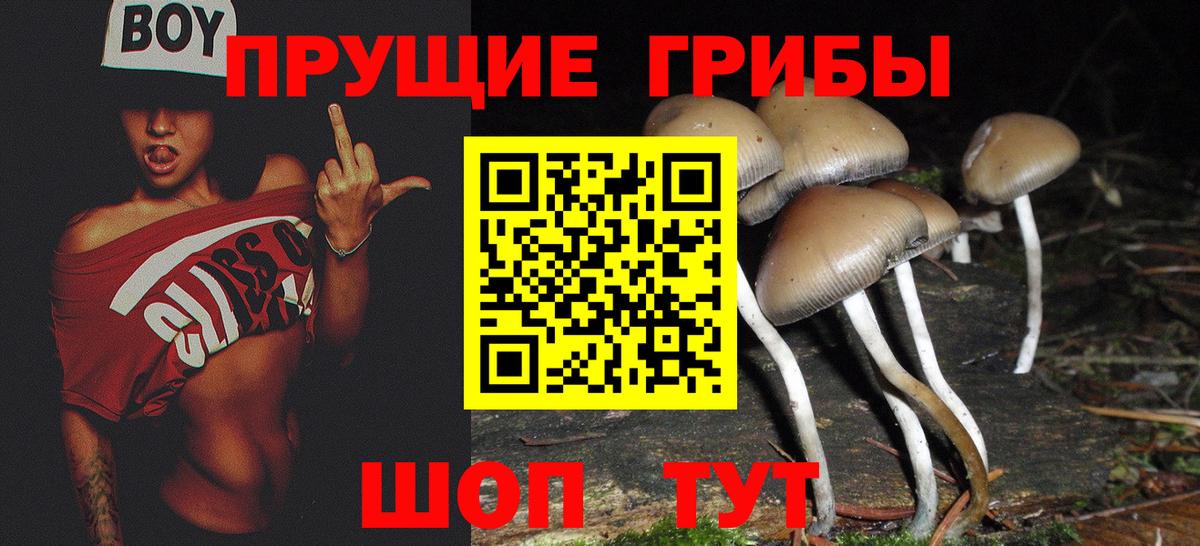 Псилоцибиновые грибы мицелий  наркошоп  Вход с VPN  Ухта  Псилоцибиновые грибы прущие грибы 